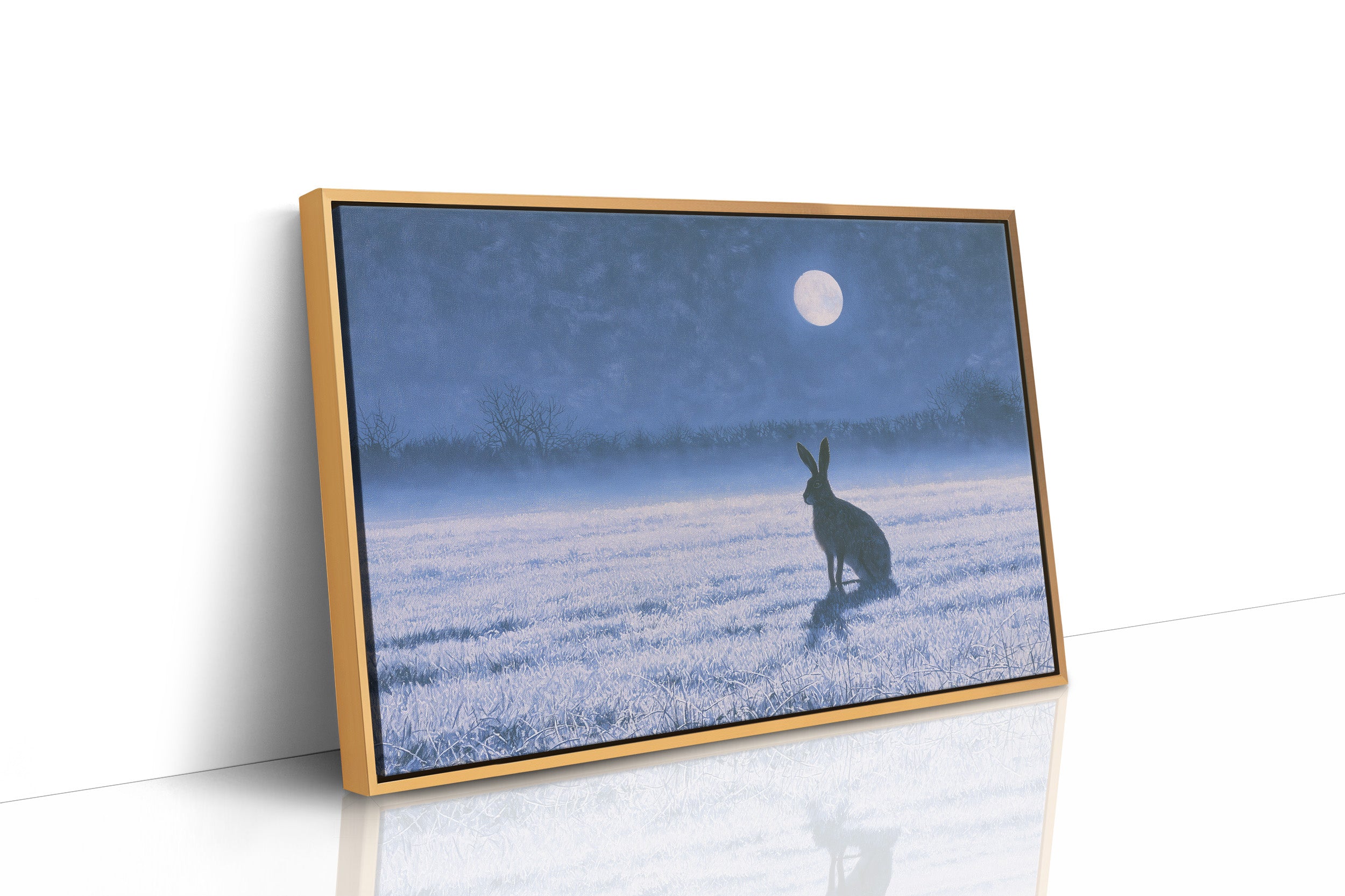 The Hare and the Full Moon