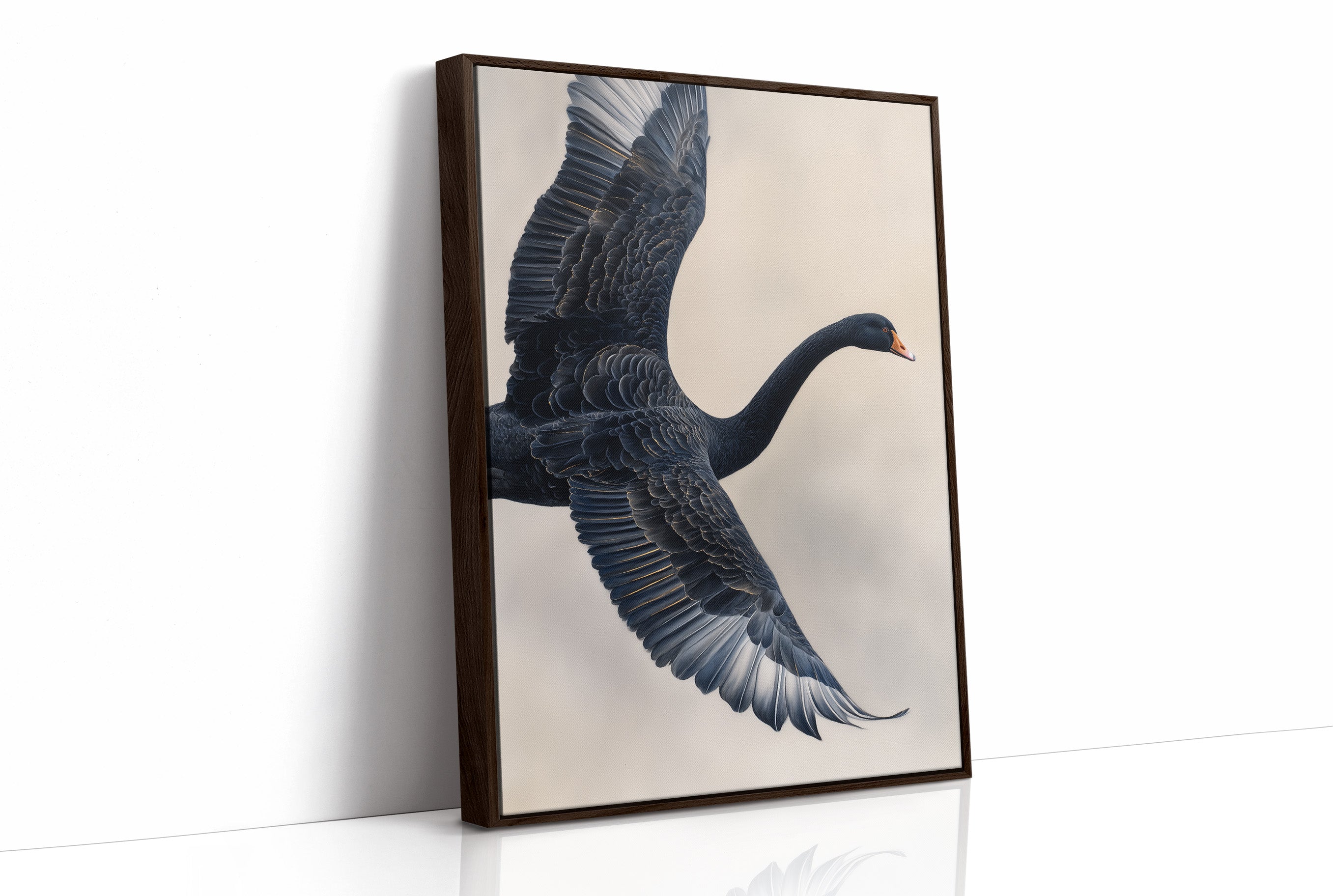 Black Swan Takes Evening Flight