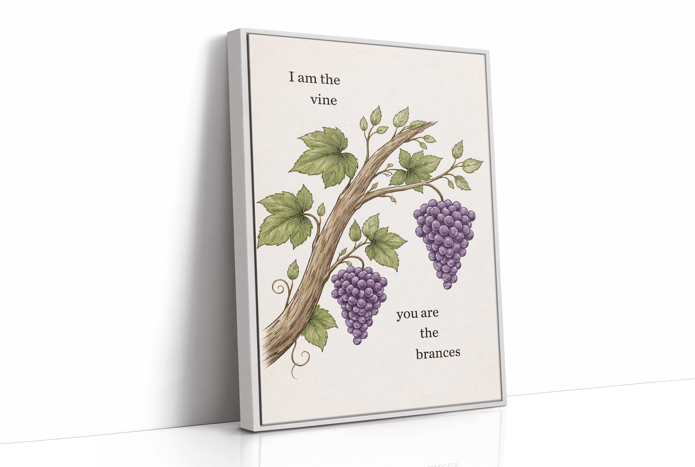 Sacred Connection Through Vineyard Wisdom