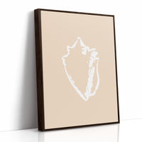 Seashell Sketches In Blush Light