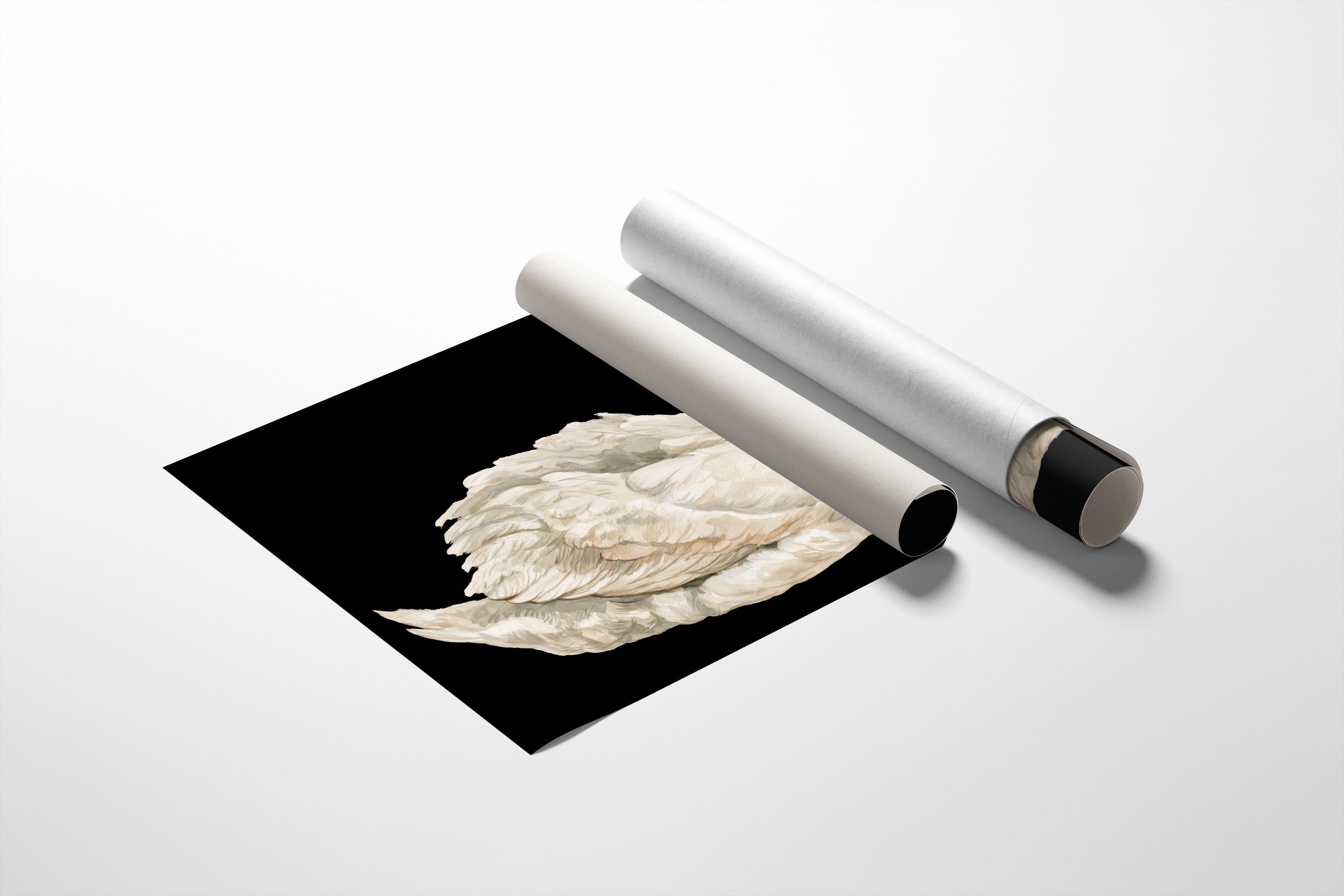 Swan, Study in White