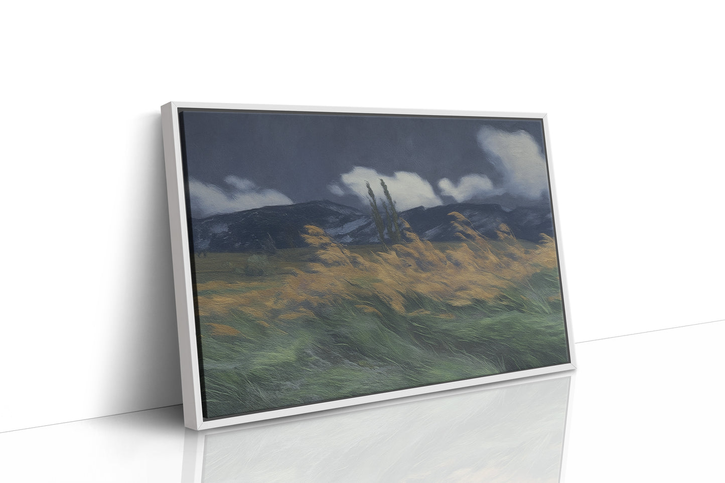 Stormlight Over the Field