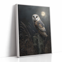 Silent Hunter Under Lunar Glow