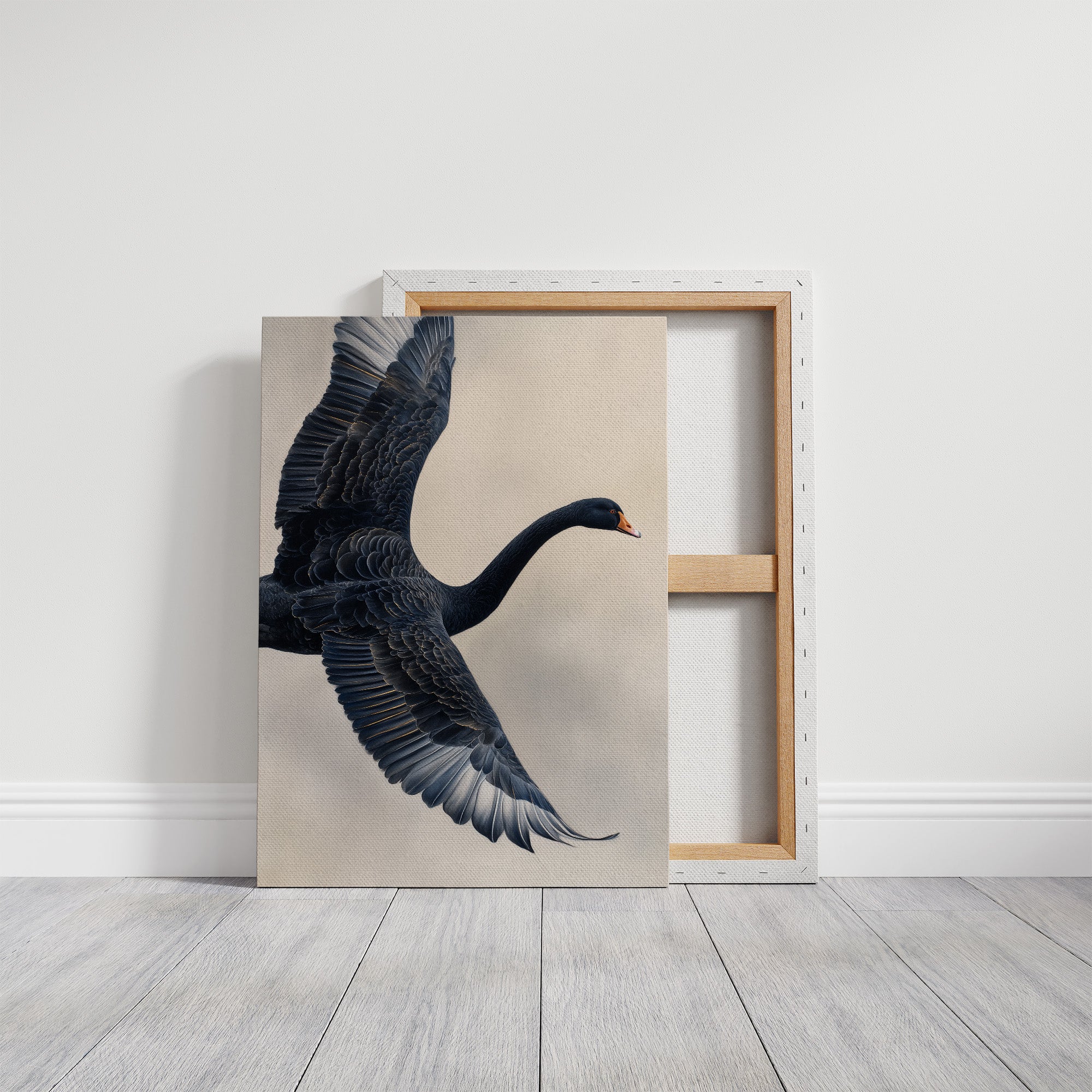 Black Swan Takes Evening Flight