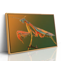Dew-Kissed Mantis at Dawn