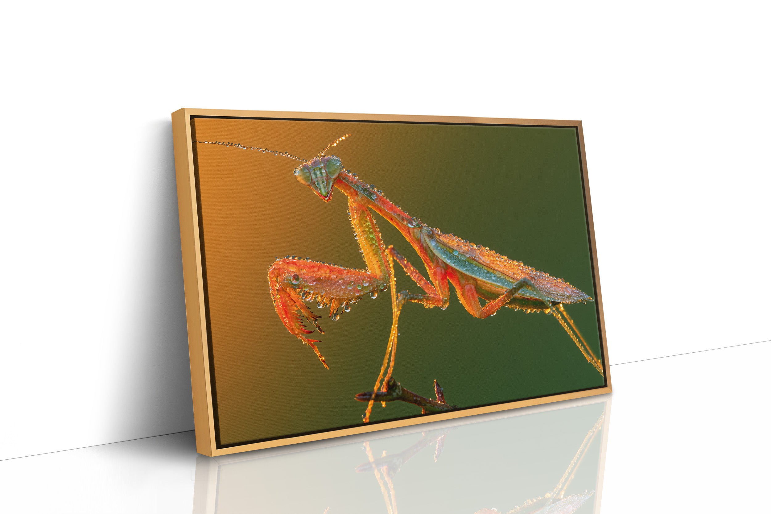 Dew-Kissed Mantis at Dawn