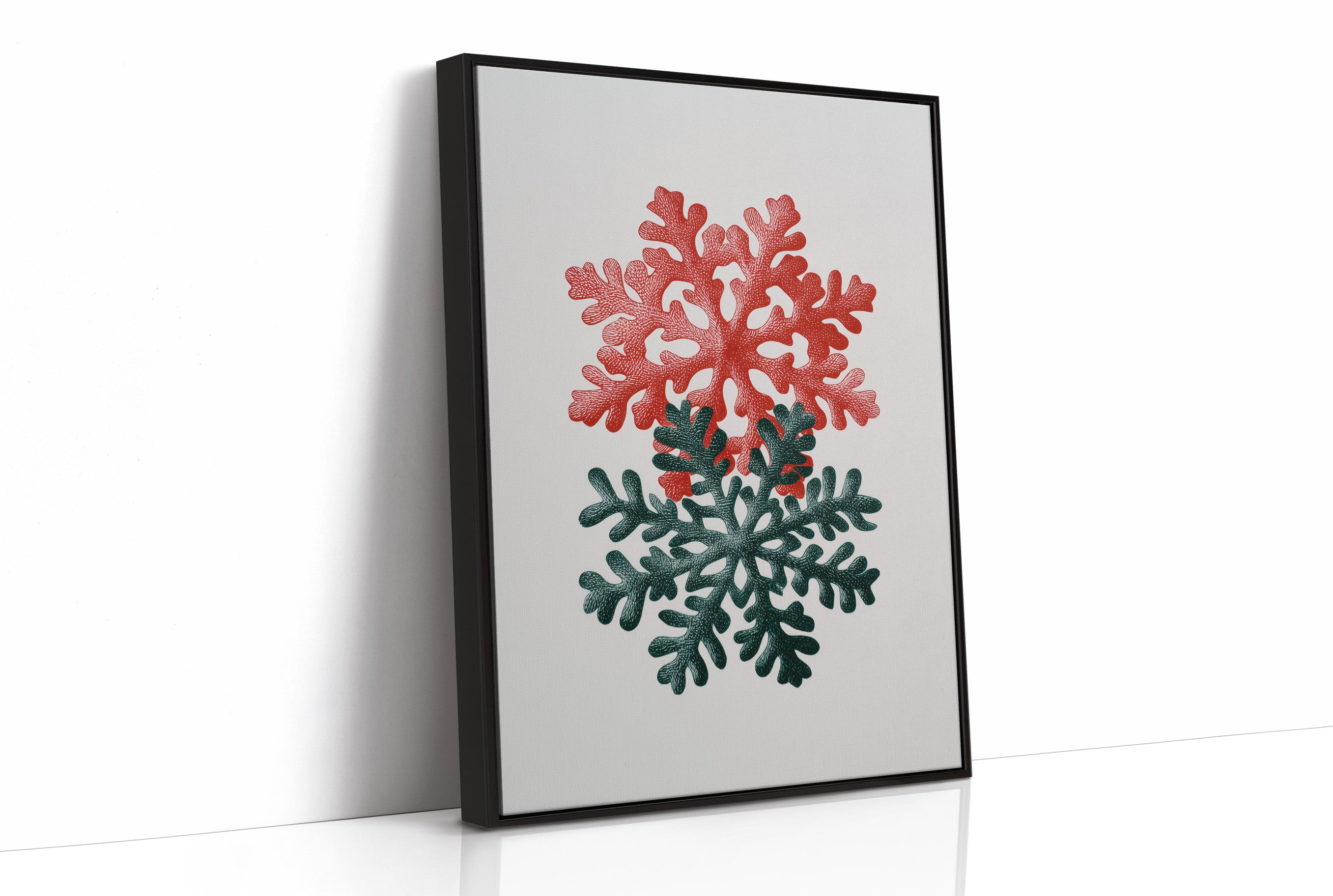 Two Snowflakes, Christmas Colors