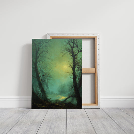 Where Light Meets the Forgotten