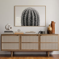 Spines Dance In Silver Light