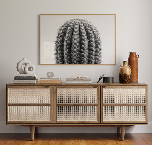 Spines Dance In Silver Light