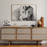 Gentle Souls Share Morning Light