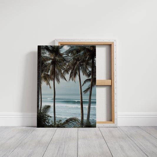 Tides Dance Beneath Tall Palms
