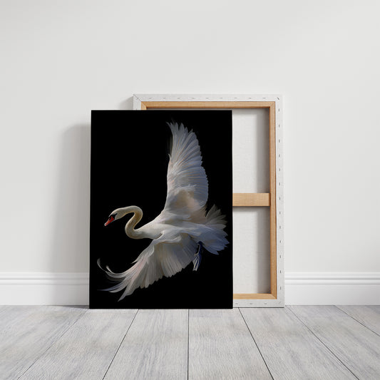 White Swan Graces The Night Bar