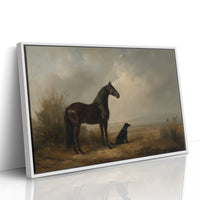 Noble Steed Shares Dawn With Friend