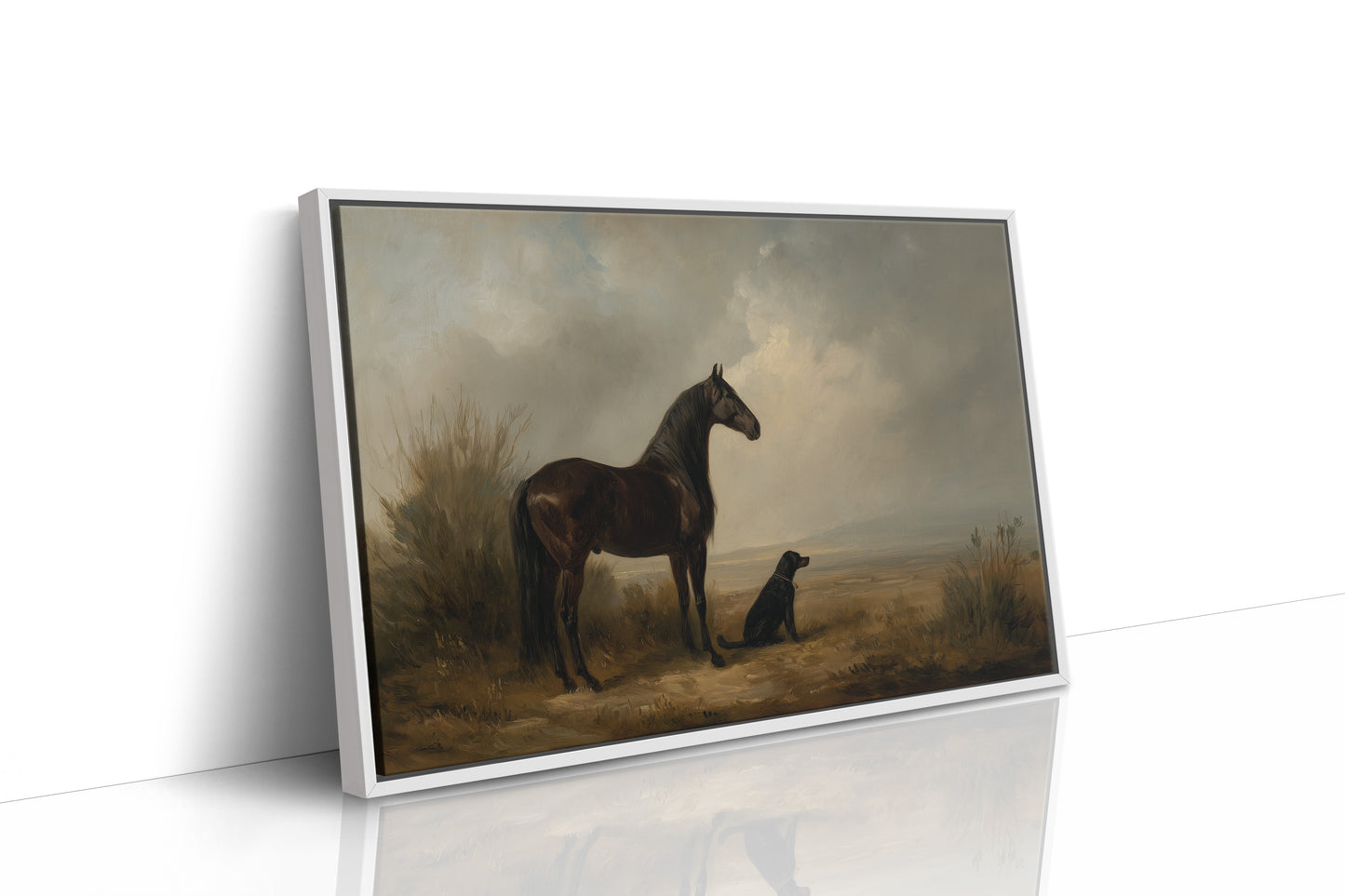 Noble Steed Shares Dawn With Friend