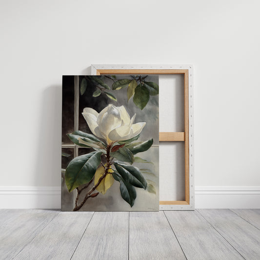 Petals Beneath the Window's Gaze