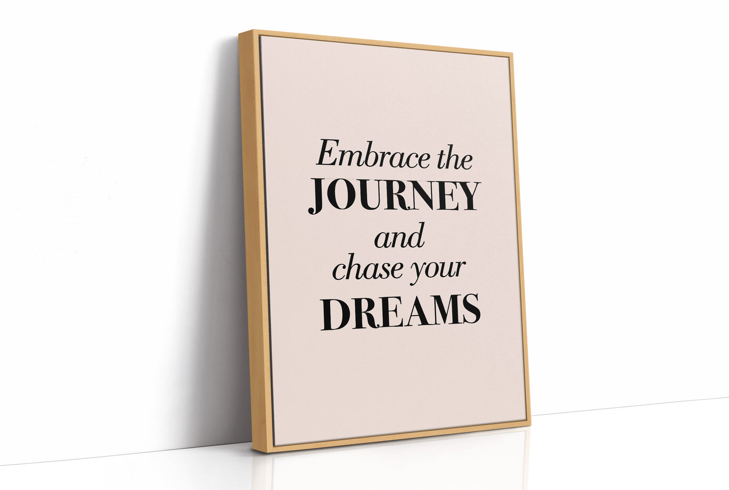 Embrace the Journey Chase Your Dreams