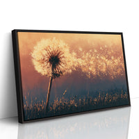 Dandelion Ablaze at Dusk