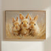 Curious Bunnies Dance Through Golden Grass