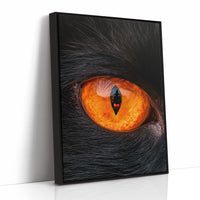 What the Cat's Eye Saw