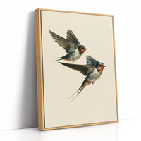 Swift Companions