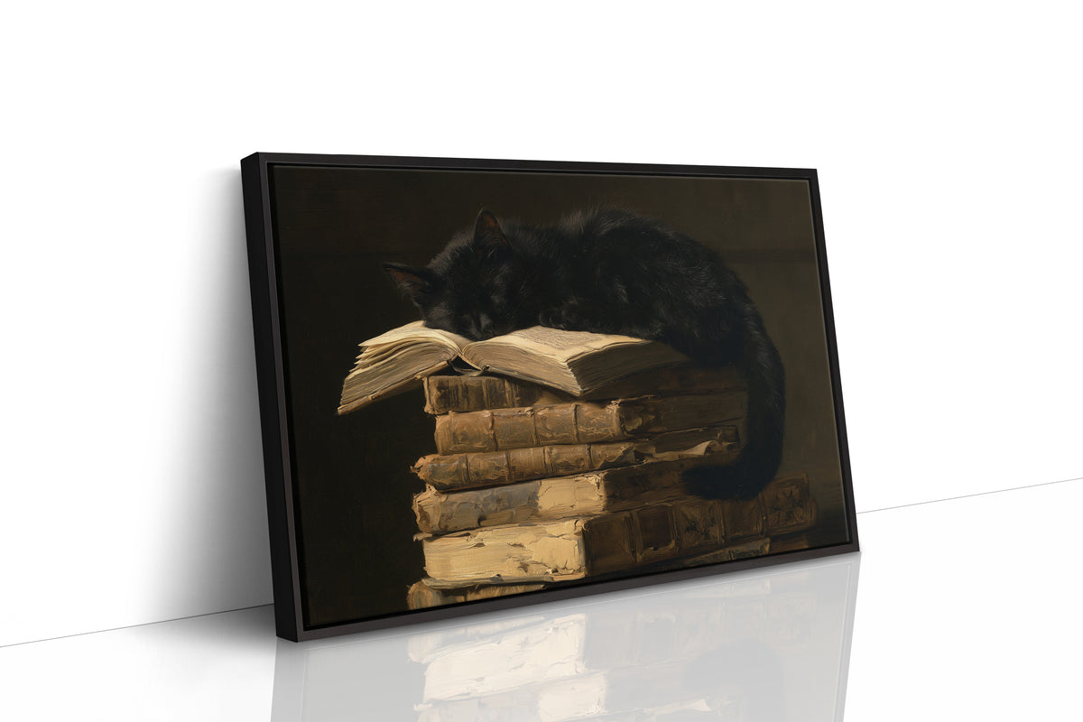 Light Reading, Heavy Napping