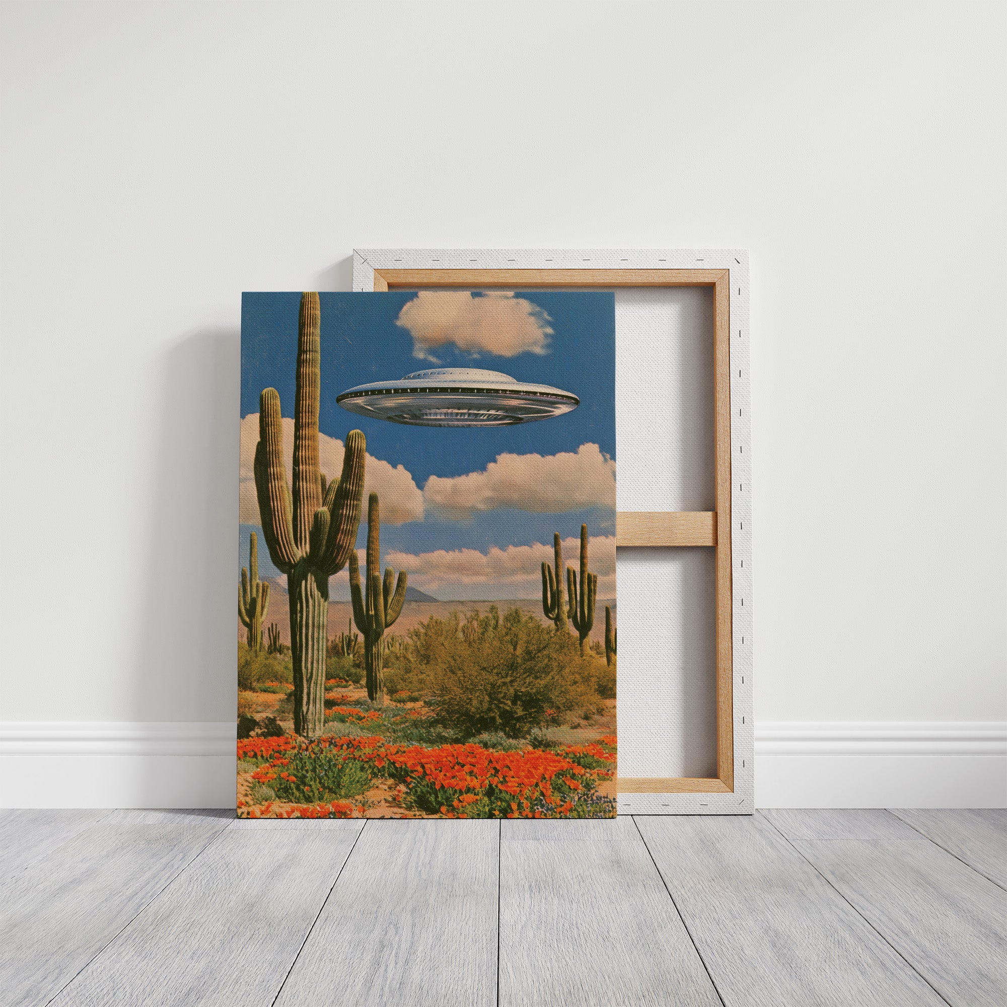 Sightings Over Saguaro Country