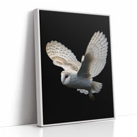 Silent Flight Against Darkness