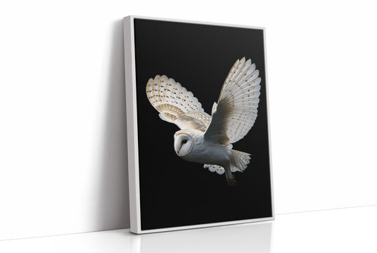 Silent Flight Against Darkness