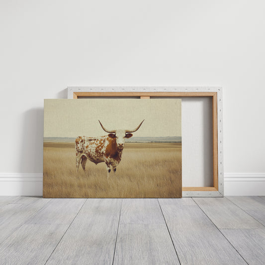 Prairie King: Longhorn on the Plains