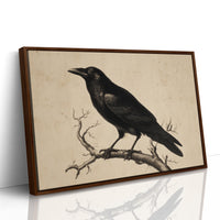 Raven Among Literary Companions