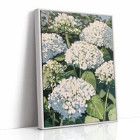 Hydrangea Garden In Full Bloom
