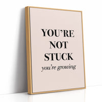 You're Not Stuck You're Growing