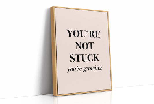 You're Not Stuck You're Growing