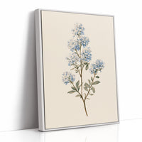 Lilac Blossom On Cream