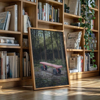 Pink Bench Waits In Forest Shade