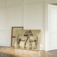 Equine Companionship Study