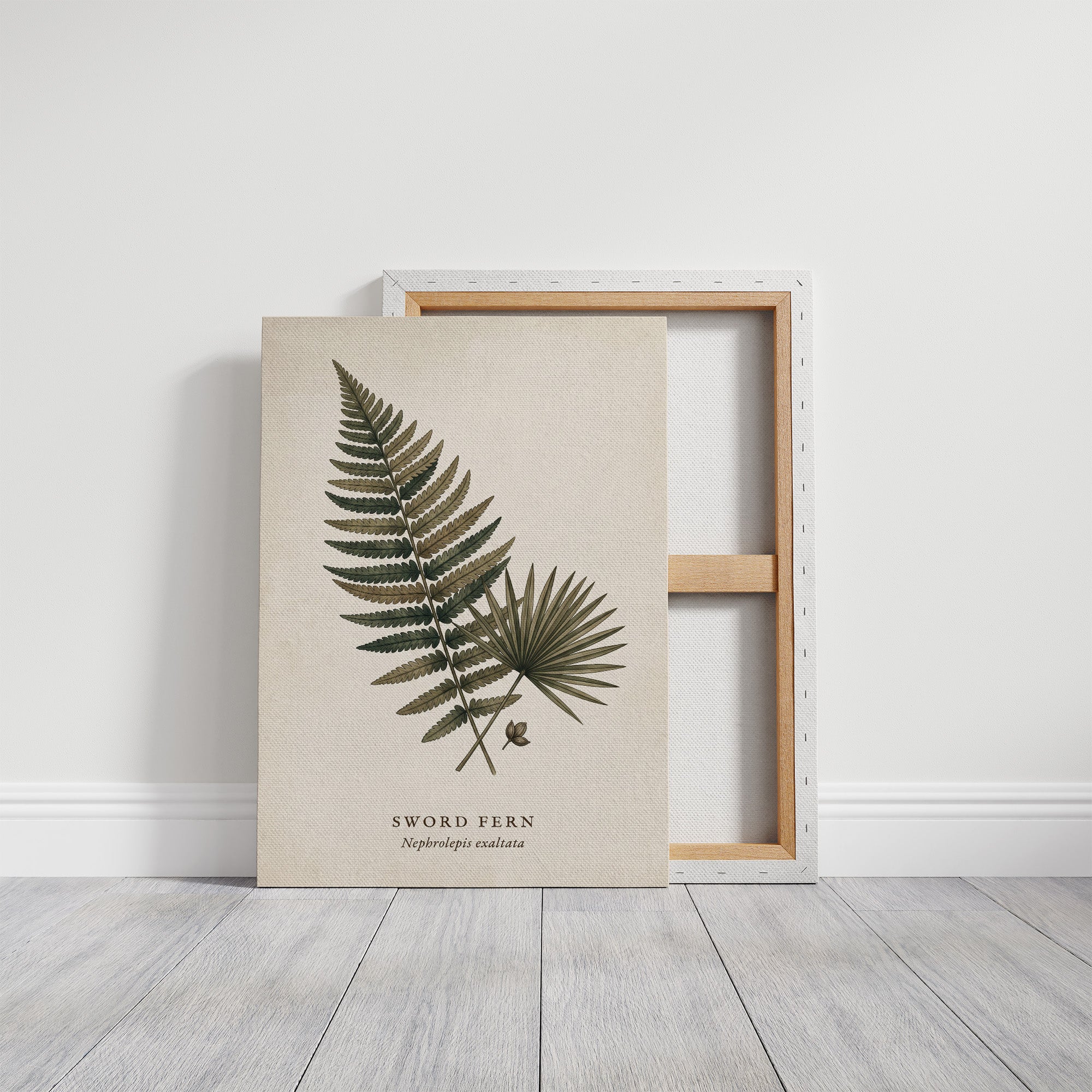 Vintage Herbarium