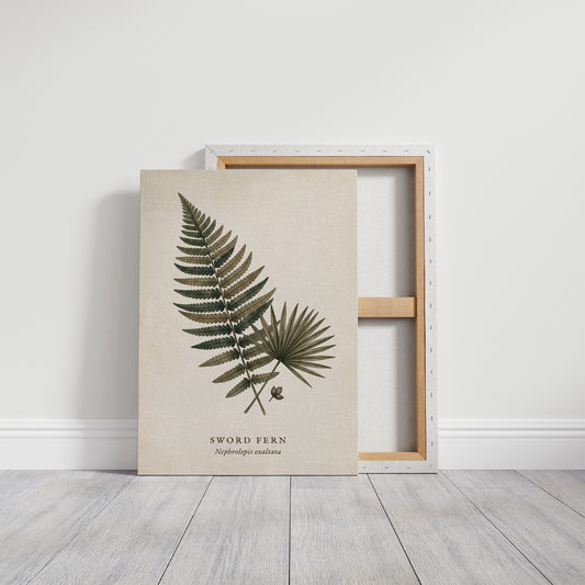 Vintage Herbarium