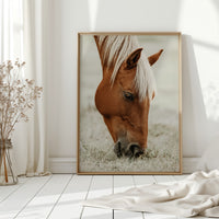 Quiet Morning Graze with Golden Mane