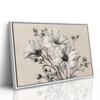 Cosmos Blooms In Graphite Grace