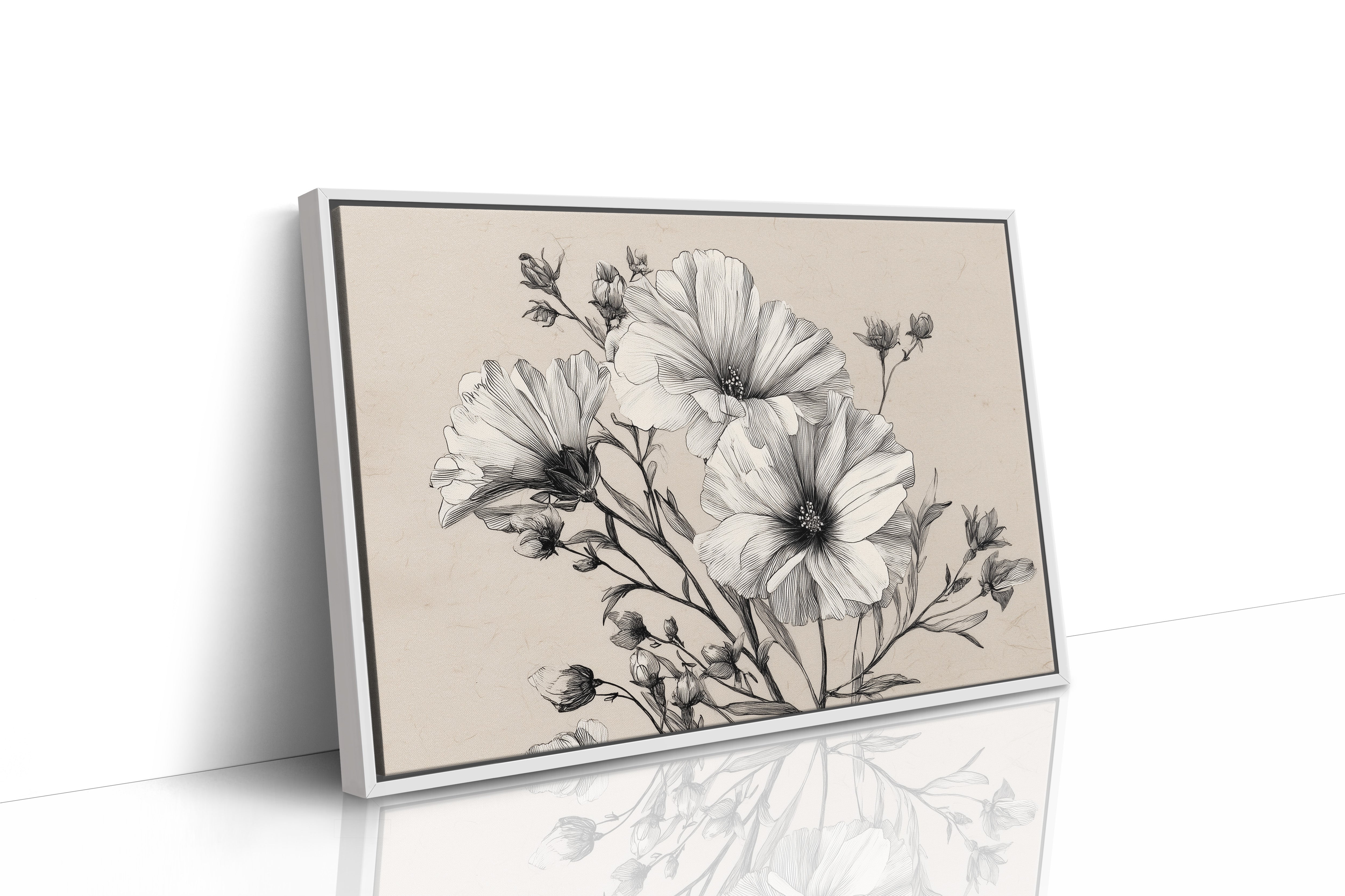 Cosmos Blooms In Graphite Grace