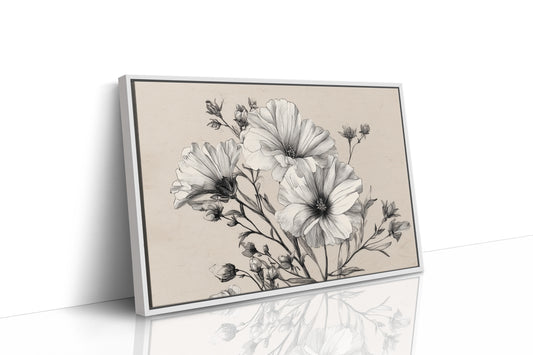 Cosmos Blooms In Graphite Grace
