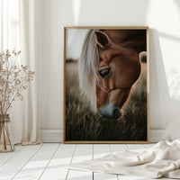 Golden Dusk and Gentle Eyes