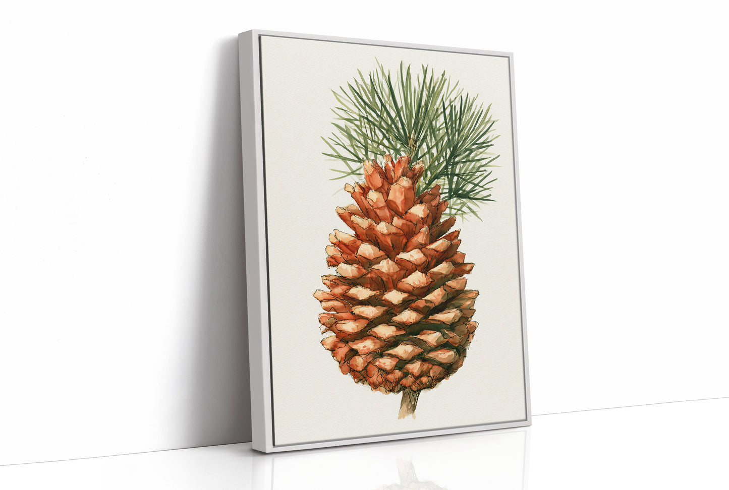 Pinecone Study No. 1