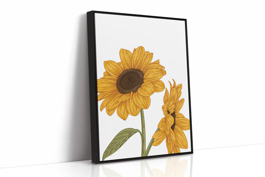 Golden Petals Greet Morning Sun