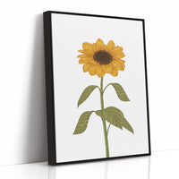 Golden Petals Follow Morning Light