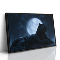 Night Owl, Technically Feline