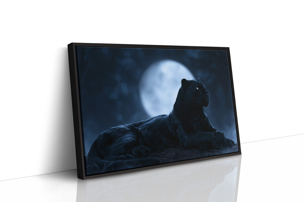 Night Owl, Technically Feline