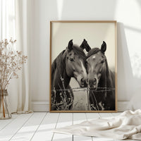 Close Companions at the Fence Line